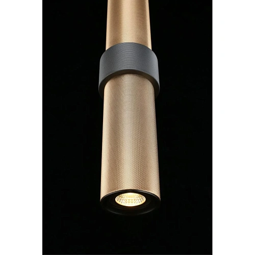 Светильник подвесной Aployt Beasia APL.614.16.01 Светильник подвесной Aployt Beasia APL.614.16.01