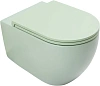 Унитаз подвесной Allen Brau Reality 4.32015.MT сиденье с микролифт мятный