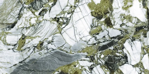 Керамогранит Neodom Belvedere Garden Green Polished 60x120 N40008 Керамогранит Neodom Belvedere Garden Green Polished 60x120 N40008