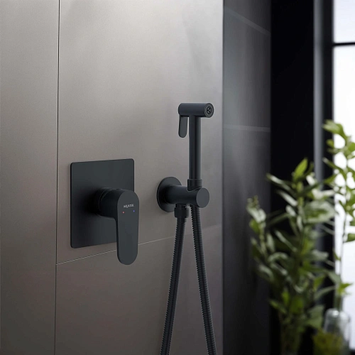 Гигиенический душ Aquatek ОБЕРОН AQ1219MB Черный матовый, встраиваемый Гигиенический душ Aquatek ОБЕРОН AQ1219MB Черный матовый, встраиваемый