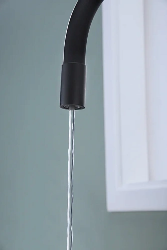 Смеситель для кухни Paulmark SALIX антрацит Sa213419-AN Смеситель для кухни Paulmark SALIX антрацит Sa213419-AN