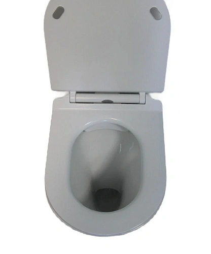 Унитаз напольный Ceruttispa BERNINA CT7193 безободковый, сиденье микролифт Унитаз напольный Ceruttispa BERNINA CT7193 безободковый, сиденье микролифт