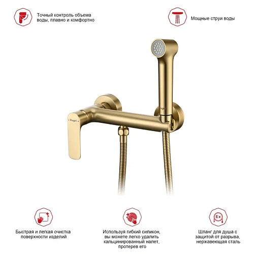 Гигиенический душ Raglo R03.51.03, золотой сатин Гигиенический душ Raglo R03.51.03, золотой сатин