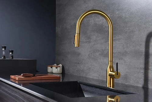 Смеситель для кухни Paulmark Universal брашированное золото Un213880-BG Смеситель для кухни Paulmark Universal брашированное золото Un213880-BG