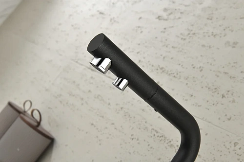 Смеситель для кухни Paulmark SERPENTINE черный Se213222-BLM Смеситель для кухни Paulmark SERPENTINE черный Se213222-BLM