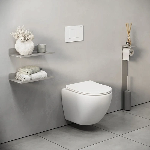 Клавиша смыва GROSSMAN Classic 700.K31.04.01M.01M белый матовый Клавиша смыва GROSSMAN Classic 700.K31.04.01M.01M белый матовый