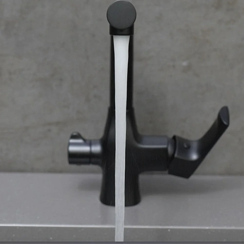 Смеситель для кухни Lemark Ursus LM7258BL с подключением к фильтру, черный матовый Смеситель для кухни Lemark Ursus LM7258BL с подключением к фильтру, черный матовый