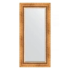 Зеркало в багетной раме Evoform Exclusive BY 3490 56 x 116 см, римское золото Зеркало в багетной раме Evoform Exclusive BY 3490 56 x 116 см, римское золото
