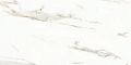Керамогранит Neodom Splendida Marmol Carrara Polished 60x120 N12028 Керамогранит Neodom Splendida Marmol Carrara Polished 60x120 N12028