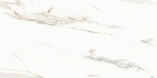 Керамогранит Neodom Splendida Marmol Carrara Polished 60x120 N12028 Керамогранит Neodom Splendida Marmol Carrara Polished 60x120 N12028