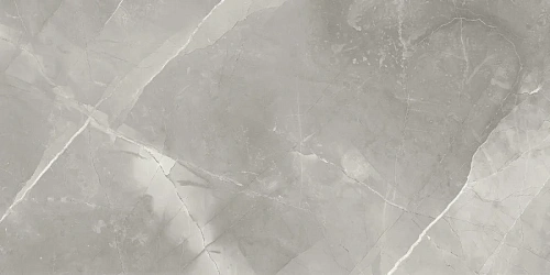 Керамогранит Neodom Supreme Fior Di Bosco Polished 60x120 N70005 Керамогранит Neodom Supreme Fior Di Bosco Polished 60x120 N70005