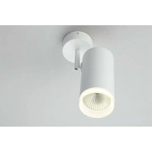 Светильник настенно-потолочный Omnilux Maratea OML-102609-20 Светильник настенно-потолочный Omnilux Maratea OML-102609-20