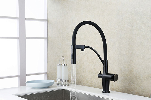 Смеситель для кухни Lemark Bronx LM3761BL с подключением к фильтру, черный Смеситель для кухни Lemark Bronx LM3761BL с подключением к фильтру, черный