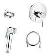 Гигиенический душ GROHE BauClassic, встраиваемый смеситель, гигиенический душ со шлангом и держателе 124901 Гигиенический душ GROHE BauClassic, встраиваемый смеситель, гигиенический душ со шлангом и держателе 124901