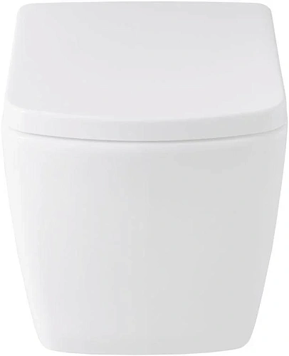 Комплект унитаза Allen Brau Liberty 4.33004.20/8.9466.0.000.000.1 (00316507) с инсталляцией, белый глянец Комплект унитаза Allen Brau Liberty 4.33004.20/8.9466.0.000.000.1 (00316507) с инсталляцией, белый глянец