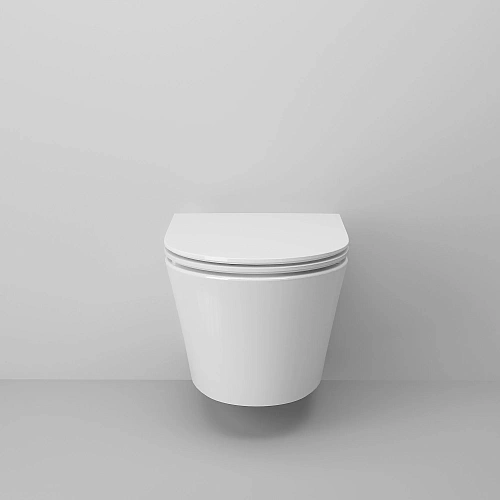 Унитаз подвесной Ambassador Ritz 233K19003RS (530x360x350) безободковый с сиденьем Унитаз подвесной Ambassador Ritz 233K19003RS (530x360x350) безободковый с сиденьем