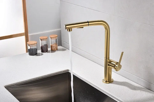 Смеситель для кухни Paulmark Neo брашированное золото Ne214419-BG Смеситель для кухни Paulmark Neo брашированное золото Ne214419-BG