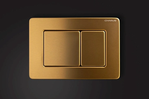 Клавиша смыва CHARUS ROBUSTO FP.310.BTG.05 брашированное золото (темное) Клавиша смыва CHARUS ROBUSTO FP.310.BTG.05 брашированное золото (темное)