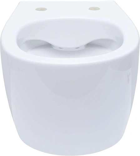 Комплект унитаза Allen Brau Fantasy 4.11004.20/8.9466.0.000.000.1 (00316504) с инсталляцией, белый глянец Комплект унитаза Allen Brau Fantasy 4.11004.20/8.9466.0.000.000.1 (00316504) с инсталляцией, белый глянец