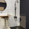 Душевая система RGW Shower Panels SP-33B черный