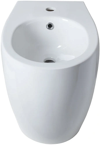 Биде напольное Allen Brau Fantasy 4.11008.20 Биде напольное Allen Brau Fantasy 4.11008.20