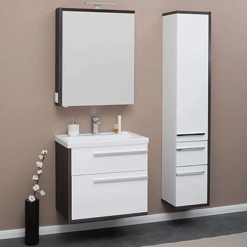 Комплект мебели Aquanet Фостер 60 эвкалипт мистери/белый 00209032 Комплект мебели Aquanet Фостер 60 эвкалипт мистери/белый 00209032