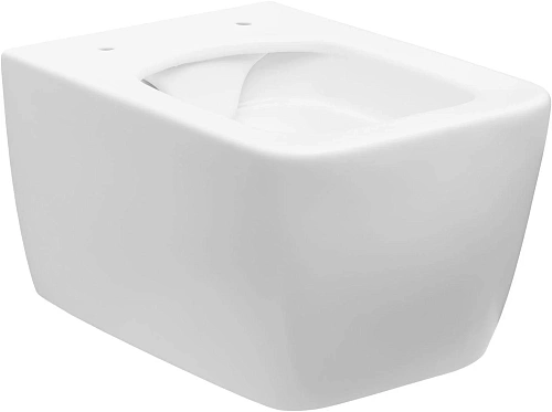 Унитаз подвесной Allen Brau Liberty 4.33007.21 с крышкой, белый матовый Унитаз подвесной Allen Brau Liberty 4.33007.21 с крышкой, белый матовый