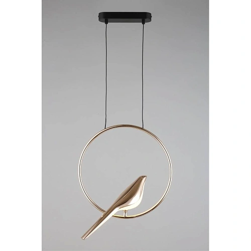 Светильник подвесной Aployt Astor APL.822.06.10 Светильник подвесной Aployt Astor APL.822.06.10