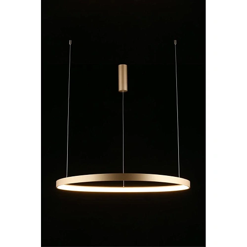 Люстра подвесная Aployt Zula APL.022.03.60 Люстра подвесная Aployt Zula APL.022.03.60