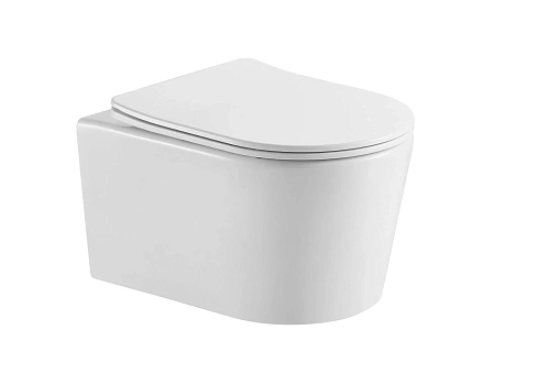 Унитаз подвесной Aquatek ОБЕРОН AQ1363WT-00 с сиденьем микролифт, белый Унитаз подвесной Aquatek ОБЕРОН AQ1363WT-00 с сиденьем микролифт, белый