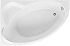Картинка анонса товара «акриловая ванна aquanet mayorca 150x100 l (с каркасом) 00205403»