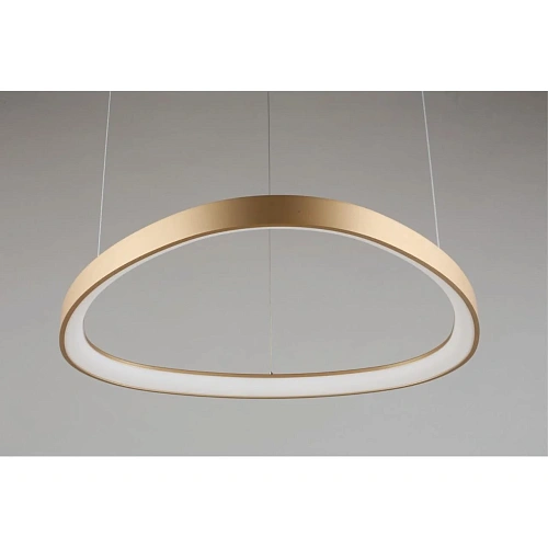 Люстра подвесная Aployt Zula APL.022.03.48 Люстра подвесная Aployt Zula APL.022.03.48