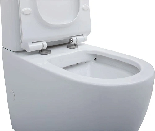 Чаша напольного унитаза Aquanet Rimless Cetus-C1 BL-102N-TPT CETUS-C1 с сиденьем Чаша напольного унитаза Aquanet Rimless Cetus-C1 BL-102N-TPT CETUS-C1 с сиденьем