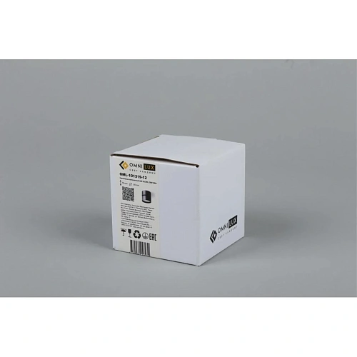 Светильник встраиваемый-накладной Omnilux Lenno OML-101319-12 Светильник встраиваемый-накладной Omnilux Lenno OML-101319-12