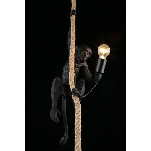 Светильник подвесной Aployt Magali APL.309.16.01 Светильник подвесной Aployt Magali APL.309.16.01