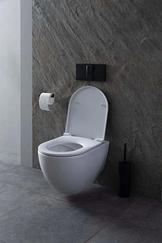 Комплект унитаза Allen Brau Reality 4.32006.20/8.9466.0.000.000.1 (00316510) с инсталляцией, белый глянец Комплект унитаза Allen Brau Reality 4.32006.20/8.9466.0.000.000.1 (00316510) с инсталляцией, белый глянец