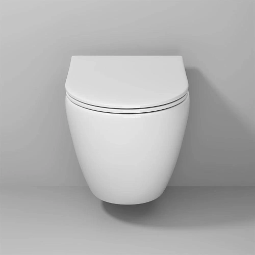 Унитаз подвесной Niagara Vista NG-9301 (495x365x375) безободковый с тонкой крышкой Унитаз подвесной Niagara Vista NG-9301 (495x365x375) безободковый с тонкой крышкой