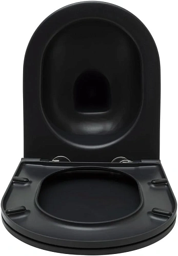 Унитаз подвесной Allen Brau Reality 4.32006.31 с крышкой, черный матовый Унитаз подвесной Allen Brau Reality 4.32006.31 с крышкой, черный матовый