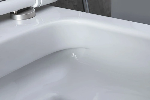 Комплект унитаза Allen Brau Priority 00301296/8.9466.0.000.000.1 (00316508) с инсталляцией, белый глянец Комплект унитаза Allen Brau Priority 00301296/8.9466.0.000.000.1 (00316508) с инсталляцией, белый глянец