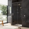 Душевая дверь AM.PM Gem W90G-100-1-195BT 100х195, стекло прозрачное, профиль черный матовый Душевая дверь AM.PM Gem W90G-100-1-195BT 100х195, стекло прозрачное, профиль черный матовый