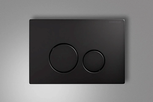 Клавиша смыва CHARUS ROBUSTO FP.330.MB.05 черный матовый Клавиша смыва CHARUS ROBUSTO FP.330.MB.05 черный матовый