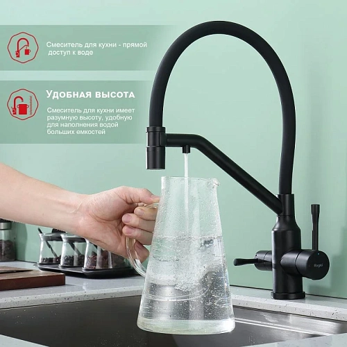Смеситель для кухни Raglo R81.62.06 с гибким изливом с подключением к фильтру, черный Смеситель для кухни Raglo R81.62.06 с гибким изливом с подключением к фильтру, черный