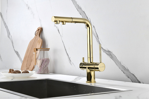 Смеситель для кухни Paulmark SERPENTINE золото Se213222-G Смеситель для кухни Paulmark SERPENTINE золото Se213222-G