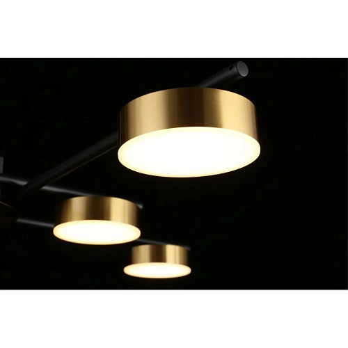 Люстра потолочная Aployt Delayn APL.042.07.56 Люстра потолочная Aployt Delayn APL.042.07.56