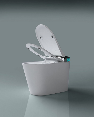 Унитаз SMART Timo TЕ-741B (700x400x465) напольный с функцией биде Унитаз SMART Timo TЕ-741B (700x400x465) напольный с функцией биде