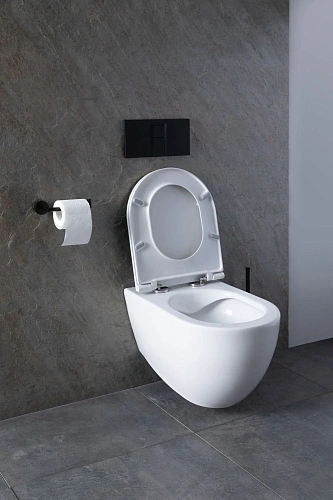 Комплект унитаза Allen Brau Reality 4.32006.20/8.9466.0.000.000.1 (00316510) с инсталляцией, белый глянец Комплект унитаза Allen Brau Reality 4.32006.20/8.9466.0.000.000.1 (00316510) с инсталляцией, белый глянец