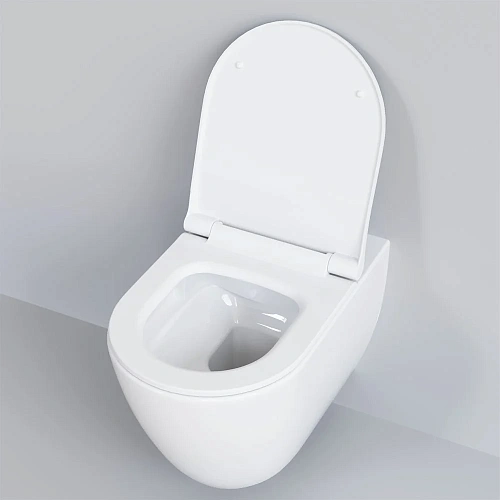 Крышка-сиденье Ambassador Queen 112T20001S (тонкое) белое Крышка-сиденье Ambassador Queen 112T20001S (тонкое) белое