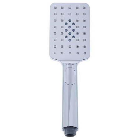 Душевая лейка Paini Ravenna RVCR155