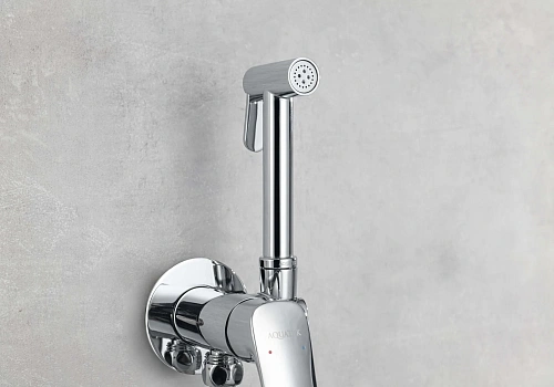 Гигиенический душ Aquatek ВЕГА AQ1019CR хром Гигиенический душ Aquatek ВЕГА AQ1019CR хром