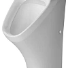 Писсуар Duravit DuraStyle 2804310007 30 см белый Писсуар Duravit DuraStyle 2804310007 30 см белый